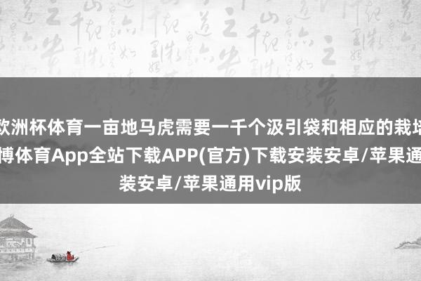 欧洲杯体育一亩地马虎需要一千个汲引袋和相应的栽培基质-世博体育App全站下载APP(官方)下载安装安卓/苹果通用vip版