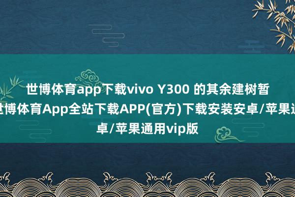 世博体育app下载　　vivo Y300 的其余建树暂未公布-世博体育App全站下载APP(官方)下载安装安卓/苹果通用vip版