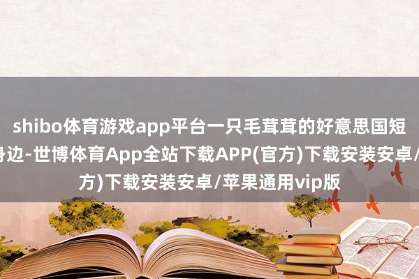 shibo体育游戏app平台一只毛茸茸的好意思国短毛猫依偎在你身边-世博体育App全站下载APP(官方)下载安装安卓/苹果通用vip版