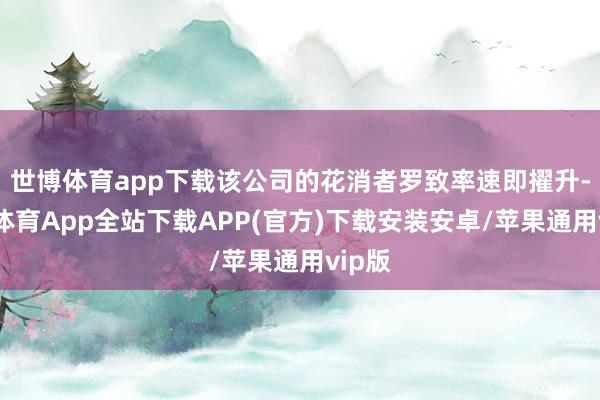 世博体育app下载该公司的花消者罗致率速即擢升-世博体育App全站下载APP(官方)下载安装安卓/苹果通用vip版