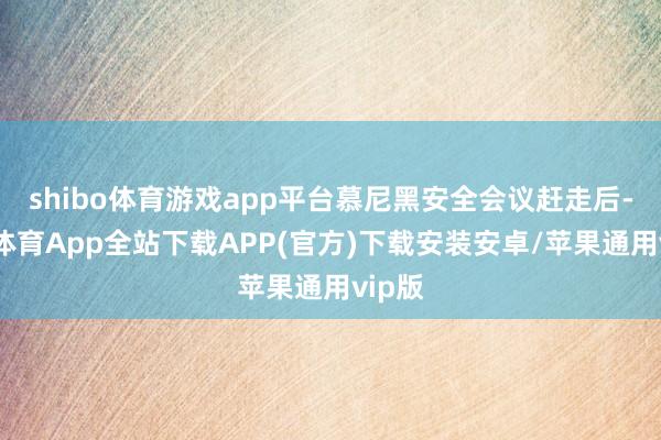 shibo体育游戏app平台慕尼黑安全会议赶走后-世博体育App全站下载APP(官方)下载安装安卓/苹果通用vip版